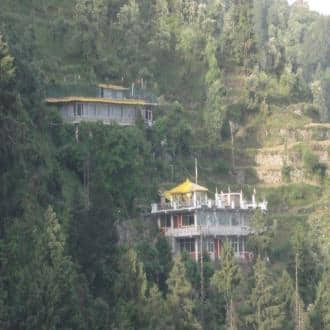 Homestay Amidst Forest, At 6500 Ft Above Sea, Dalhousie 2